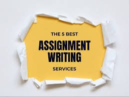 The Benefits of Using Professional Assignment Writing Services