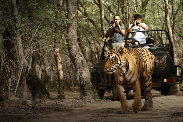 Delhi to Ranthambore Cab