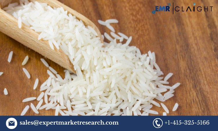 Australia Rice Seed Market: Projected Growth and Trends ( 2025-2034)